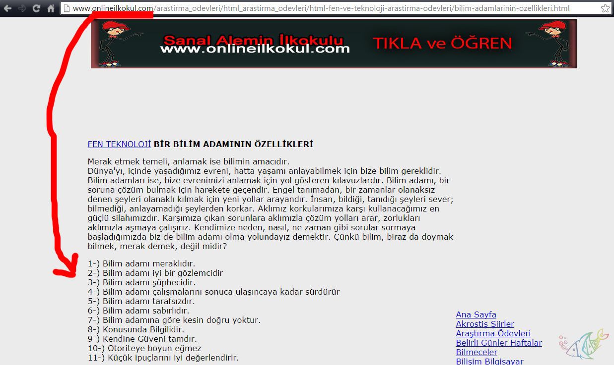 Kendi elinizle akvaryum - kullanışlı bir deneyim Kendi elinizle akvaryum - kullanışlı bir deneyim