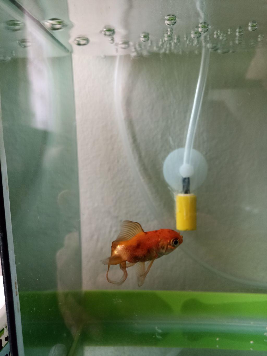 Rus jinsi rialda HD porno, fohishalarning porno fotosuratlarini tomosha qiling